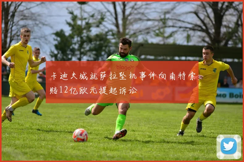 卡迪夫城就萨拉坠机事件向南特索赔12亿欧元提起诉讼