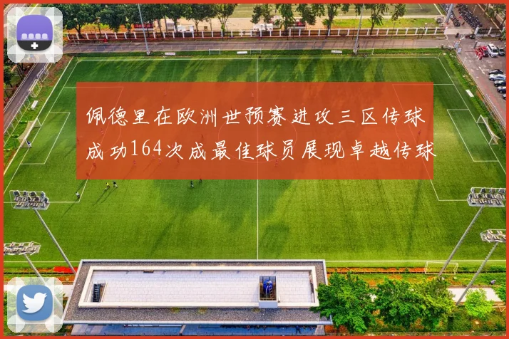 佩德里在欧洲世预赛进攻三区传球成功164次成最佳球员展现卓越传球能力