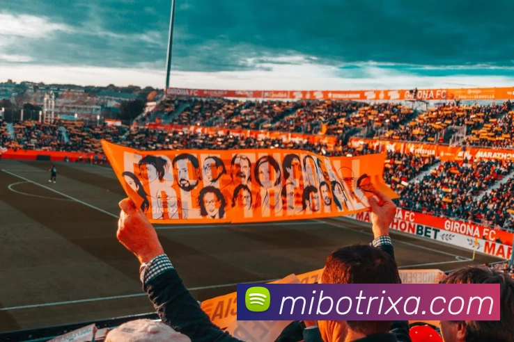 App Interface Preview