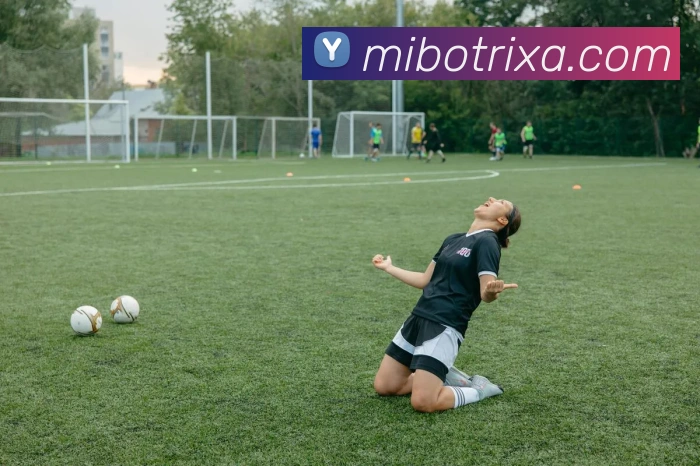 米博体育APP 封面图